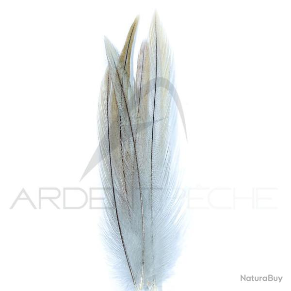 Coq de p�che corr�zien plume de cou gris clair H12-14