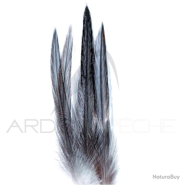 Coq de p�che corr�zien plume de cou gris fum� H12-14