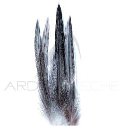 Coq de p&ecirc;che corr&eacute;zien plume de cou gris fum&eacute; H18-16