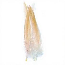 Coq de p&ecirc;che corr&eacute;zien plume de cou miel H18-16