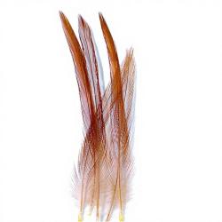 Coq de p&ecirc;che corr&eacute;zien plume de cou roux H12-14