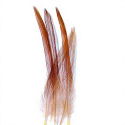 Coq de p&ecirc;che corr&eacute;zien plume de cou roux H18-16