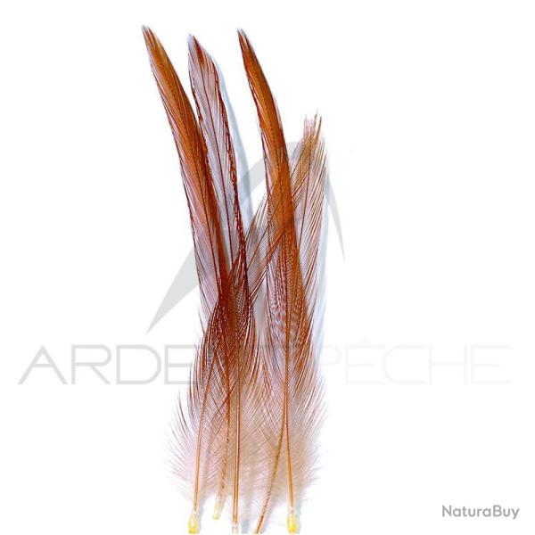Coq de p�che corr�zien plume de cou roux H18-16