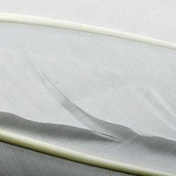 Dinde plume d&acute;aile teint&eacute;es blanche