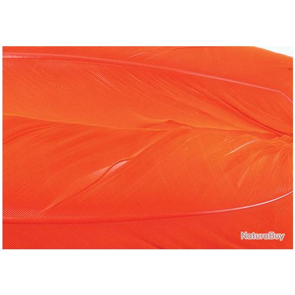 Dinde plume d�aile teint�es orange