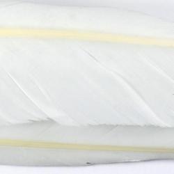 Oie plume d&acute;aile blanches