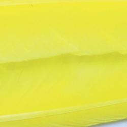 Oie plume d&acute;aile teint&eacute;es jaunes