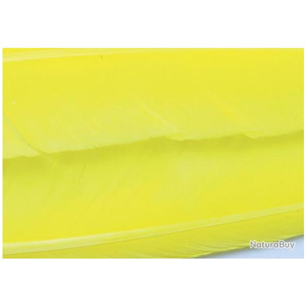Oie plume d�aile teint�es jaunes