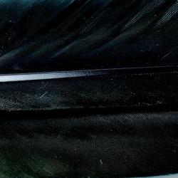 Oie plume d&acute;aile teint&eacute;es noires