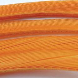 Oie biots quills ambre