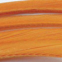 Oie biots quills ambre