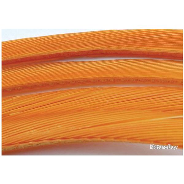 Oie biots quills ambre