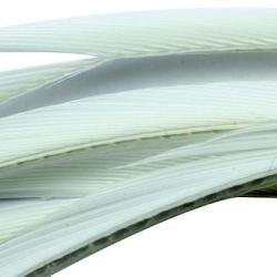 Oie biots quills blanc