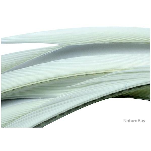 Oie biots quills blanc