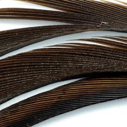 Oie biots quills marron fonc&eacute;