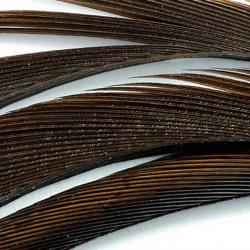 Oie biots quills marron fonc&eacute;