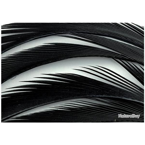 Oie biots quills noir