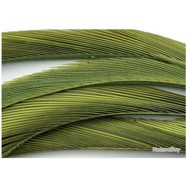 Oie biots quills olive clair