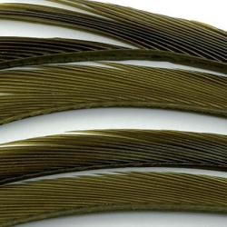 Oie biots quills olive