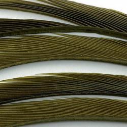 Oie biots quills olive