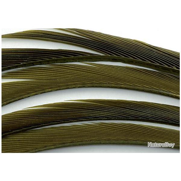 Oie biots quills olive