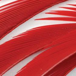 Oie biots quills rouge