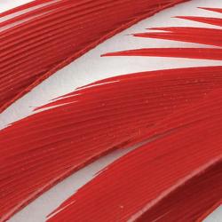 Oie biots quills rouge
