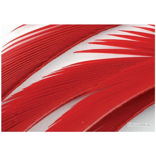 Oie biots quills rouge