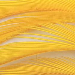 Oie biots quills sulphur orange