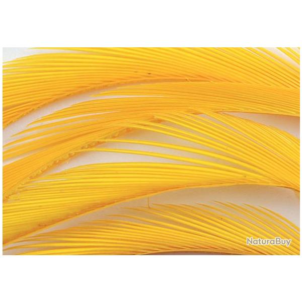 Oie biots quills sulphur orange
