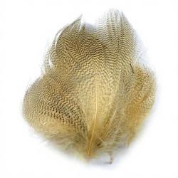 Canard flancs beige
