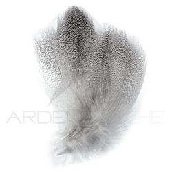 Canard flancs naturel