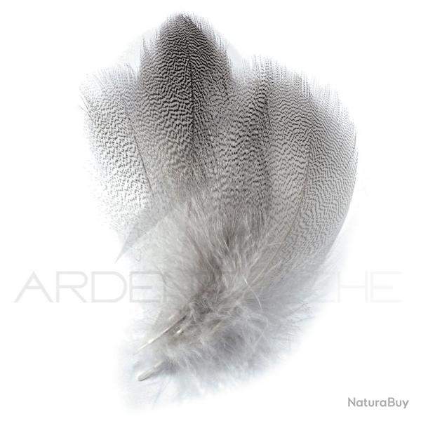 Canard flancs naturel