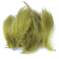 Canard flancs olive