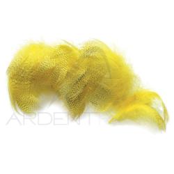 Canard poitrail m&acirc;le jaune