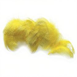 Canard poitrail m&acirc;le jaune