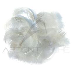 Canard poitrail m&acirc;le naturel