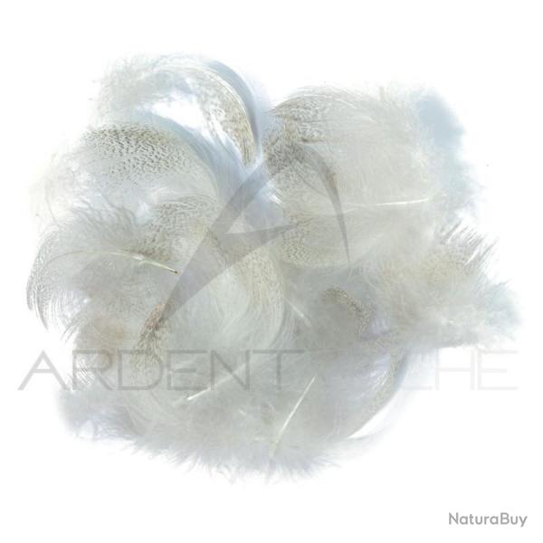 Canard poitrail m�le naturel