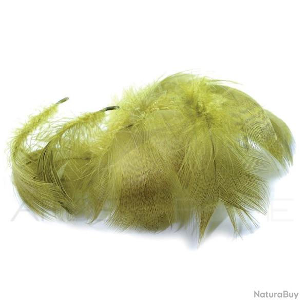 Canard poitrail m�le olive