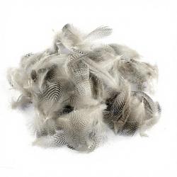 Sarcelle flanc naturel