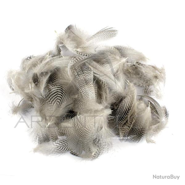 Sarcelle flanc naturel