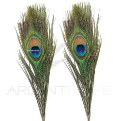 Paon oeil complet&nbsp;