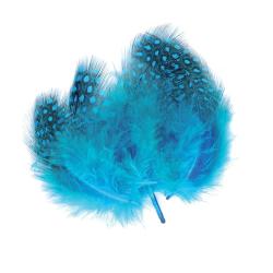 Pintade teint&eacute;e bleu