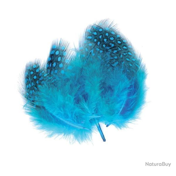 Pintade teint�e bleu