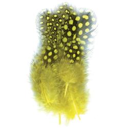 Pintade teint&eacute;e jaune