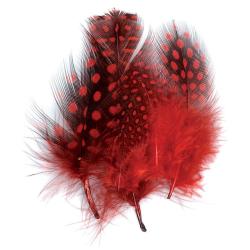 Pintade teint&eacute;e rouge