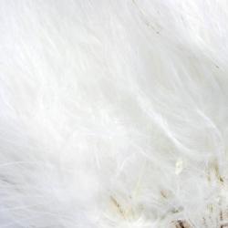 Marabout plumes quill blanc 01