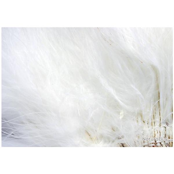 Marabout plumes quill blanc 01