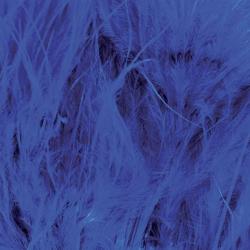 Marabout plumes quill bleu 82