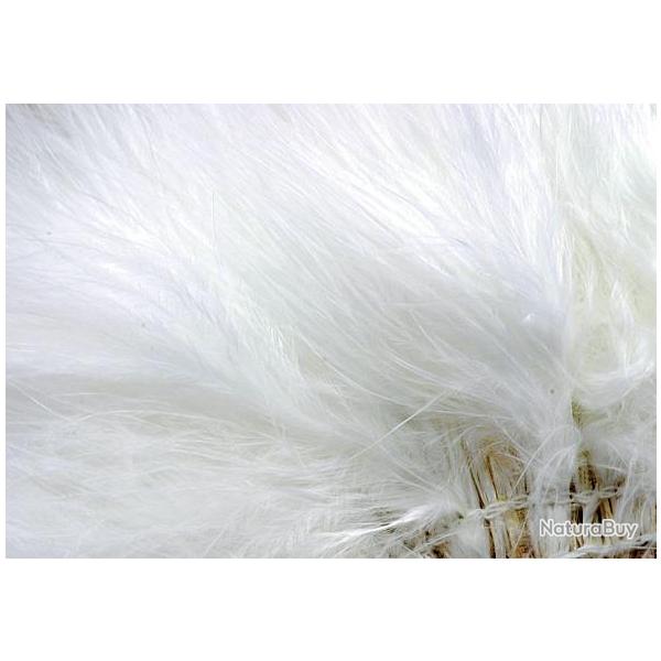 Marabout plumes quill fluo blanc 506